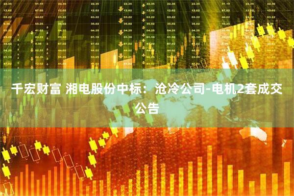 千宏财富 湘电股份中标：沧冷公司-电机2套成交公告