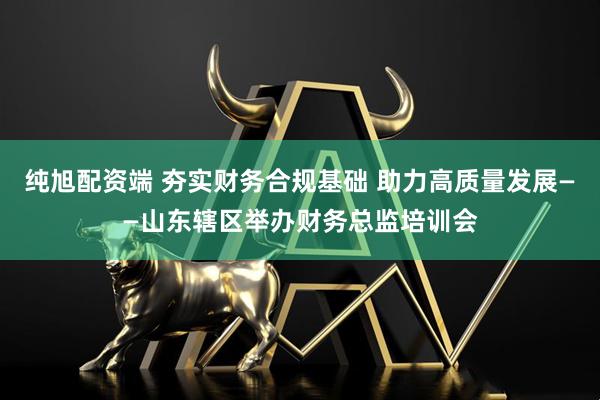 纯旭配资端 夯实财务合规基础 助力高质量发展——山东辖区举办财务总监培训会